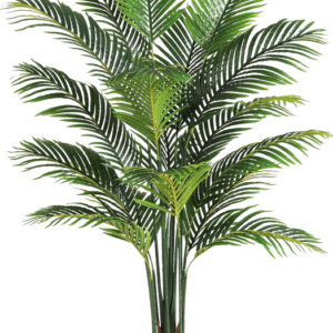 trees